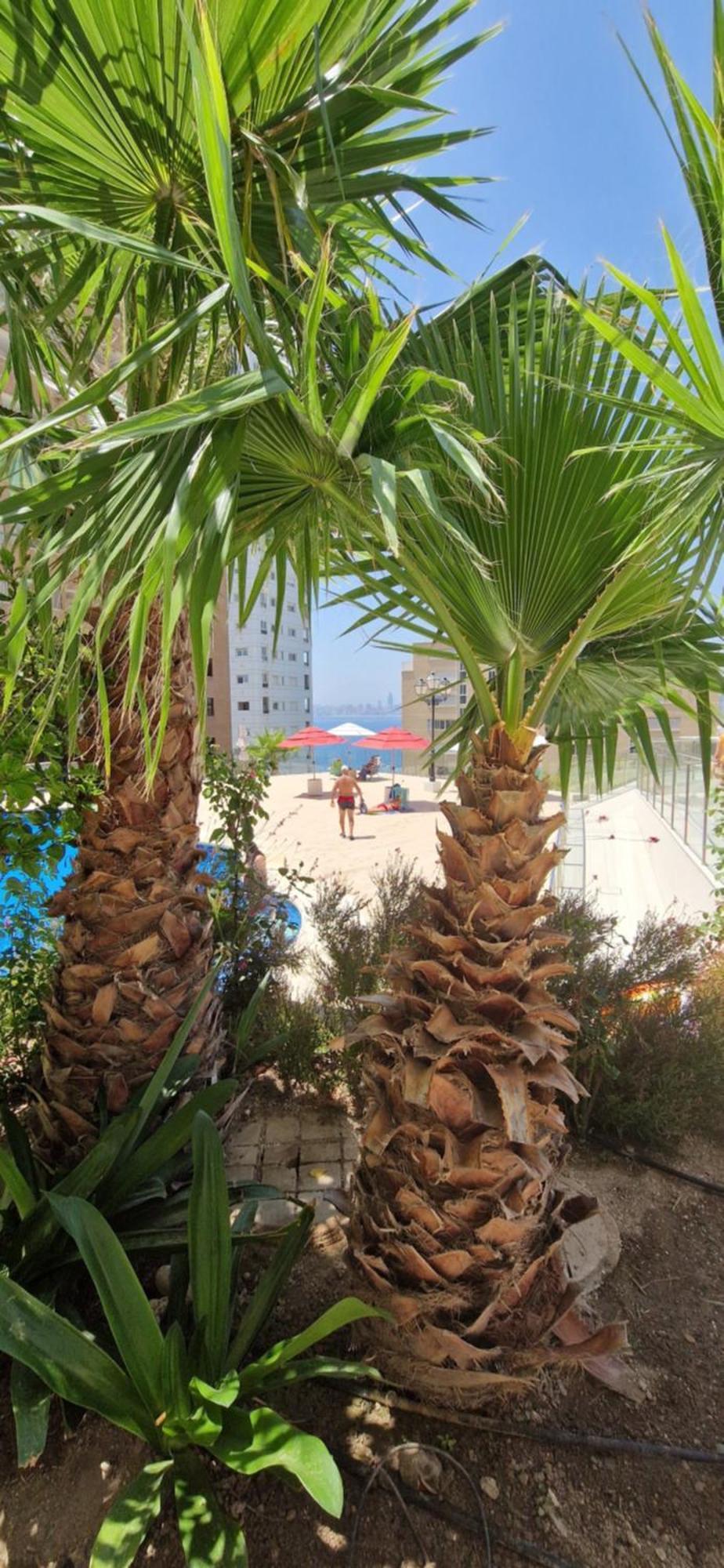 Nice Stay Trinisol 2 Benidorm Dış mekan fotoğraf